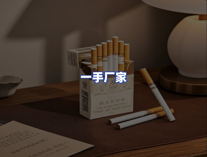 专业团队